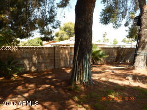 2406 E Balboa Dr, Tempe, AZ 85282 photo 16