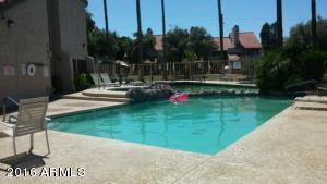 30 E Brown Rd #1004, Mesa, AZ 85201 photo 20