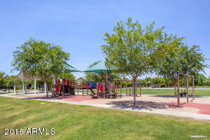 3566 E Amber Ln, Gilbert, AZ 85296 photo 25