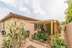 3129 E Patrick St, Gilbert, AZ 85295 photo 17