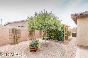 3129 E Patrick St, Gilbert, AZ 85295 photo 16