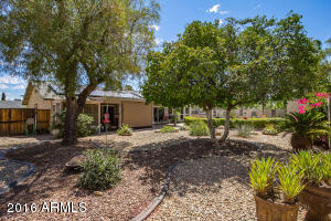 5137 E Toniko Dr, Phoenix, AZ 85044 photo 37