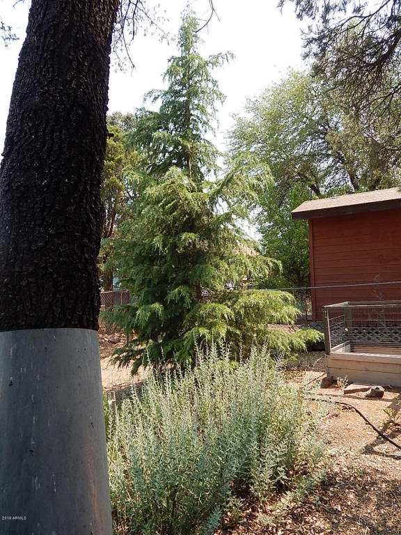 613 W St Moritz Dr, Payson, AZ 85541 photo 32