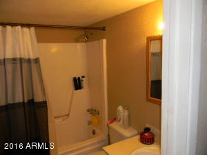 4523 E Sunland Ave, Phoenix, AZ 85040 photo 19