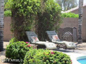 632 E Sherri Dr, Gilbert, AZ 85296 photo 47