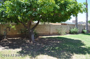 1545 E Glade Ave, Mesa, AZ 85204 photo 8