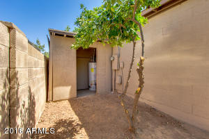 535 E Hilton Ave, Mesa, AZ 85204 photo 53