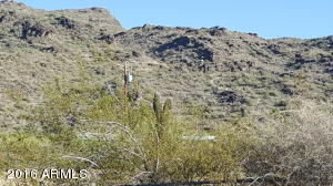 2420 E Francisco Dr, Phoenix, AZ 85042 photo 14