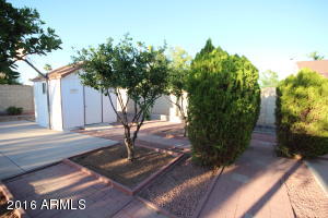 1102 E Kerry Ln, Phoenix, AZ 85024 photo 8