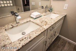 3915 E Potter Dr, Phoenix, AZ 85050 photo 12