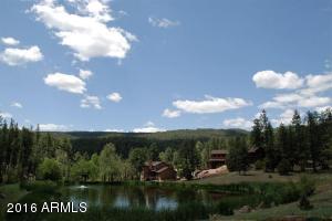 146 Wildcat Cir, Payson, AZ 85541 photo 14