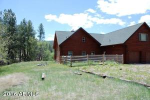 146 Wildcat Cir, Payson, AZ 85541 photo 11