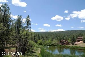 146 Wildcat Cir, Payson, AZ 85541 photo 17
