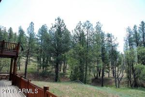 146 Wildcat Cir, Payson, AZ 85541 photo 13