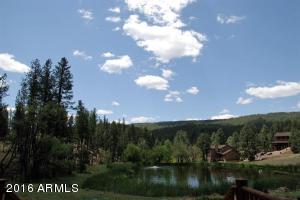 146 Wildcat Cir, Payson, AZ 85541 photo 12