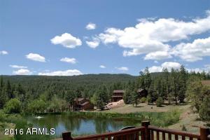 146 Wildcat Cir, Payson, AZ 85541 photo 16