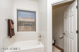 3583 E Red Oak Ln, Gilbert, AZ 85297 photo 26