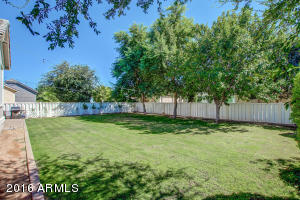 3003 E Camellia Dr, Gilbert, AZ 85296 photo 53