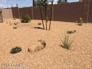 117 S Alberta Cir, Mesa, AZ 85206 photo 8