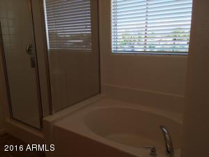 117 S Alberta Cir, Mesa, AZ 85206 photo 6