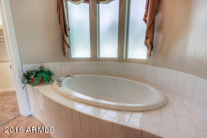 2971 E Morrison Ranch Pkwy, Gilbert, AZ 85296 photo 30