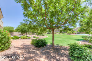 2971 E Morrison Ranch Pkwy, Gilbert, AZ 85296 photo 54
