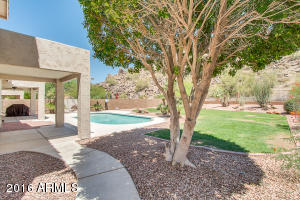 1414 E Dry Creek Rd, Phoenix, AZ 85048 photo 36