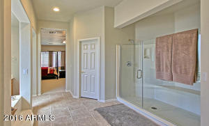 2933 E Temple Ct, Gilbert, AZ 85296 photo 23