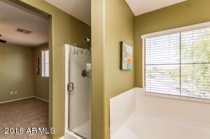 1756 E Joseph Way, Gilbert, AZ 85295 photo 19