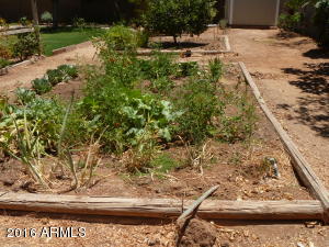 841 S Cancun Dr, Gilbert, AZ 85233 photo 24