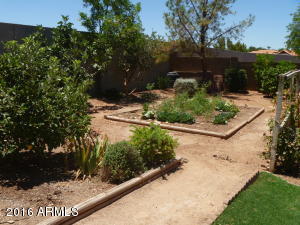 841 S Cancun Dr, Gilbert, AZ 85233 photo 20