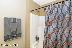 4103 E Tether Trl, Phoenix, AZ 85050 photo 19