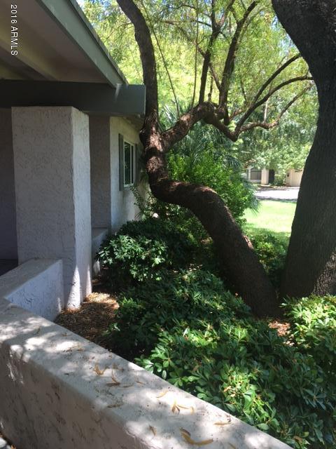 7302 N 16th Ave, Phoenix, AZ 85021 photo 52