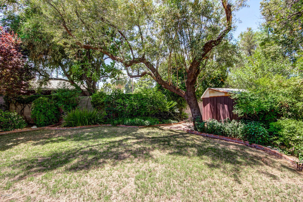 7302 N 16th Ave, Phoenix, AZ 85021 photo 50