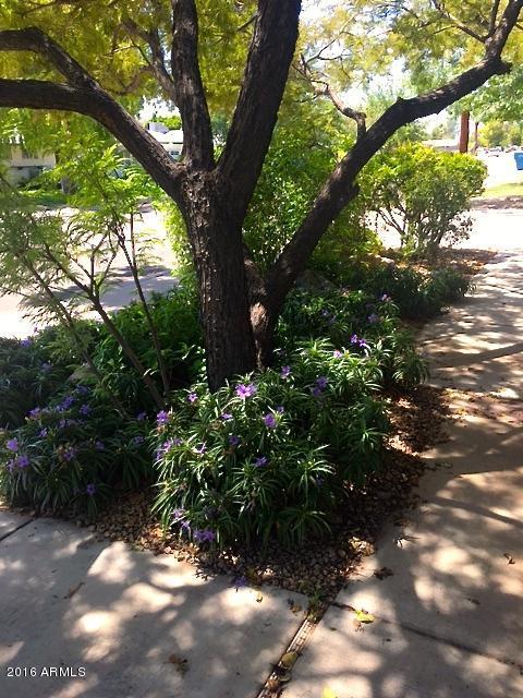 7302 N 16th Ave, Phoenix, AZ 85021 photo 51