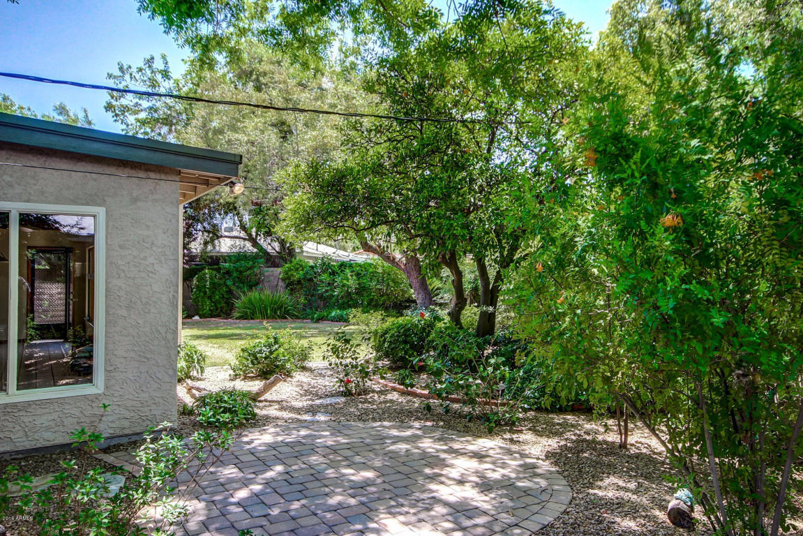 7302 N 16th Ave, Phoenix, AZ 85021 photo 48