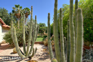 1205 E Gary Cir, Mesa, AZ 85203 photo 24