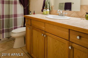 4309 E Redfield Rd, Phoenix, AZ 85032 photo 20