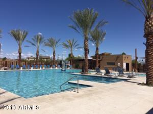 10449 E Sheffield Dr, Mesa, AZ 85212 photo 3