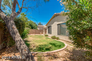3263 E Canyon Creek Dr, Gilbert, AZ 85295 photo 43