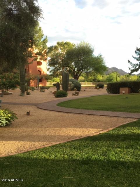 4303 E Cactus Rd #449, Phoenix, AZ 85032 photo 17