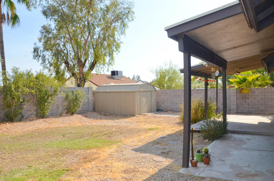 1009 E Wickieup Ln, Phoenix, AZ 85024 photo 14
