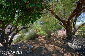 5410 E Boston St, Mesa, AZ 85205 photo 29