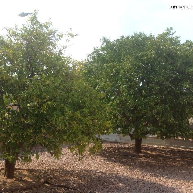 222 N 65th Pl, Mesa, AZ 85205 photo 17