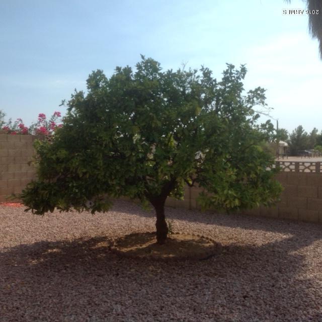 222 N 65th Pl, Mesa, AZ 85205 photo 16