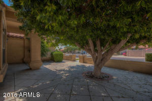 7017 E Lakeview Ave, Mesa, AZ 85209 photo 7