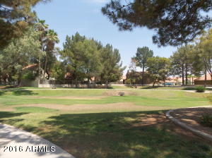1426 E Commerce Ave, Gilbert, AZ 85234 photo 20