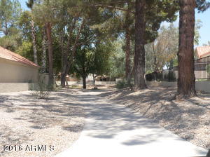 1426 E Commerce Ave, Gilbert, AZ 85234 photo 23