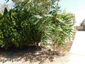 415 E Forest Dr, Payson, AZ 85541 photo 3