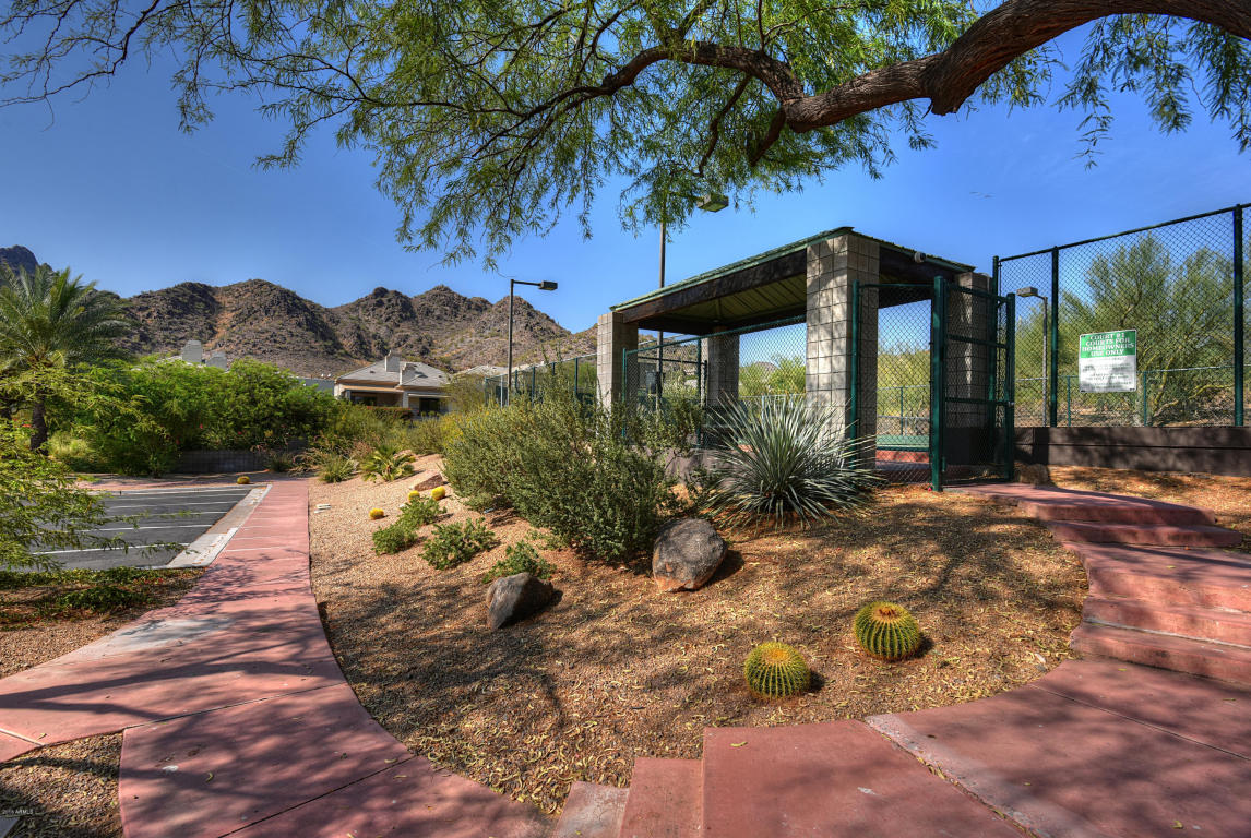 6522 N 29th St, Phoenix, AZ 85016 photo 47